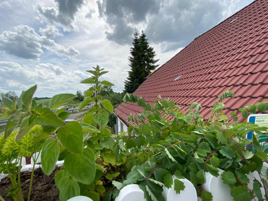 Familienhof Mueritz Apartman Klein Plasten Kültér fotó